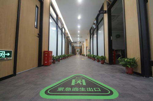 精品工程，共筑夢想——新東方小寨東路校區圓滿竣工