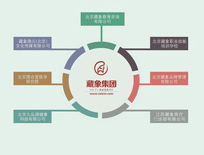 藏象集團 引領網絡技術服務新紀元，賦能企業數字化轉型